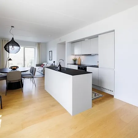 Luxury Penthouse With Private Rooftop Terrace 哥本哈根